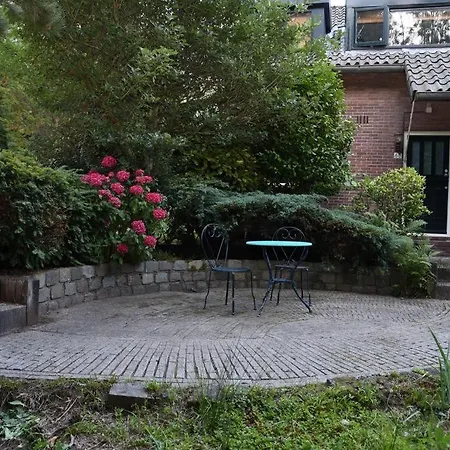 Villa In The Forest Of Amsterdam With Pool