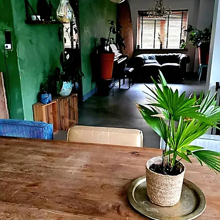 In The Forest Of Amsterdam With Pool