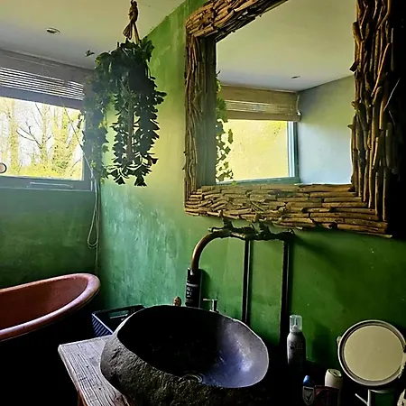 Villa In The Forest Of Amsterdam With Pool Velsen-Zuid