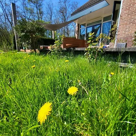 빌라 In The Forest Of Amsterdam With Pool 펠선자위트