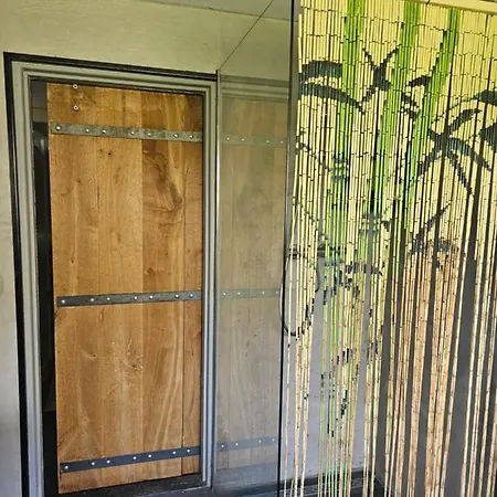 In The Forest Of Amsterdam With Pool * 펠선자위트