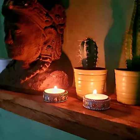 In The Forest Of Amsterdam With Pool 펠선자위트