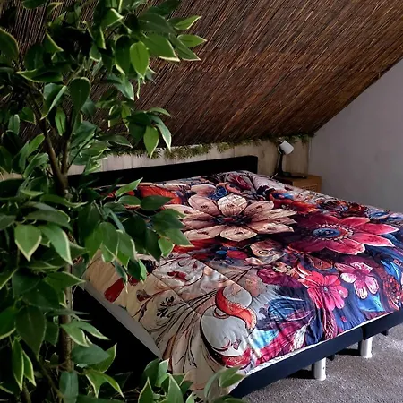 빌라 In The Forest Of Amsterdam With Pool *