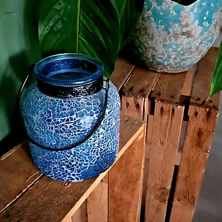 In The Forest Of Amsterdam With Pool *