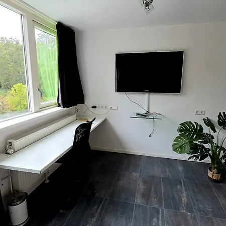 In The Forest Of Amsterdam With Pool