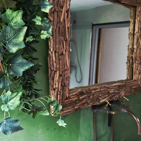 In The Forest Of Amsterdam With Pool