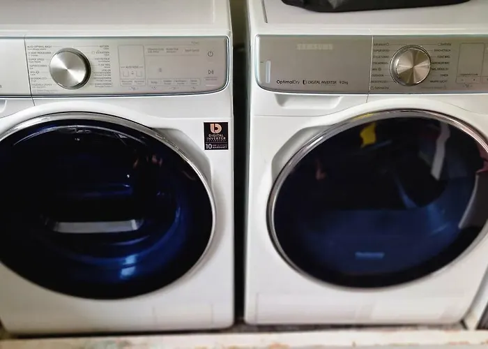 In The Forest Of Amsterdam With Pool Velsen-Zuid