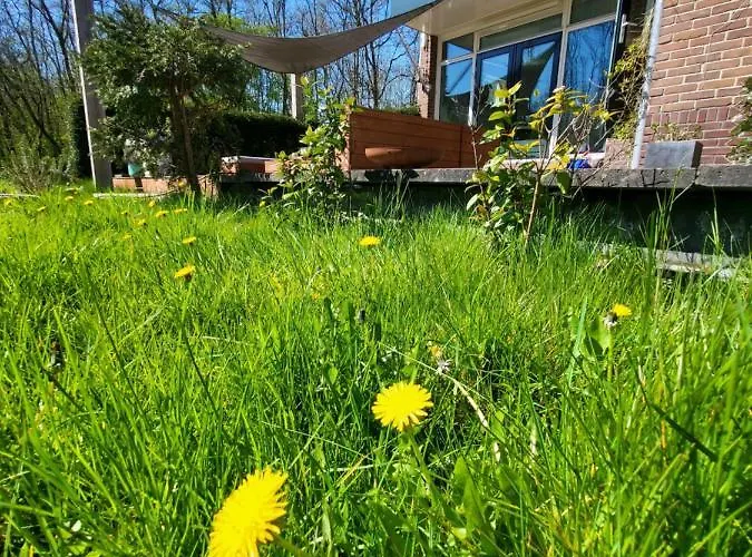 Villa In The Forest Of Amsterdam With Pool Velsen-Zuid