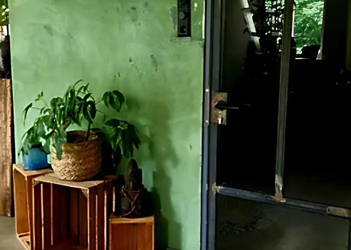 In The Forest Of Amsterdam With Pool * Velsen-Zuid