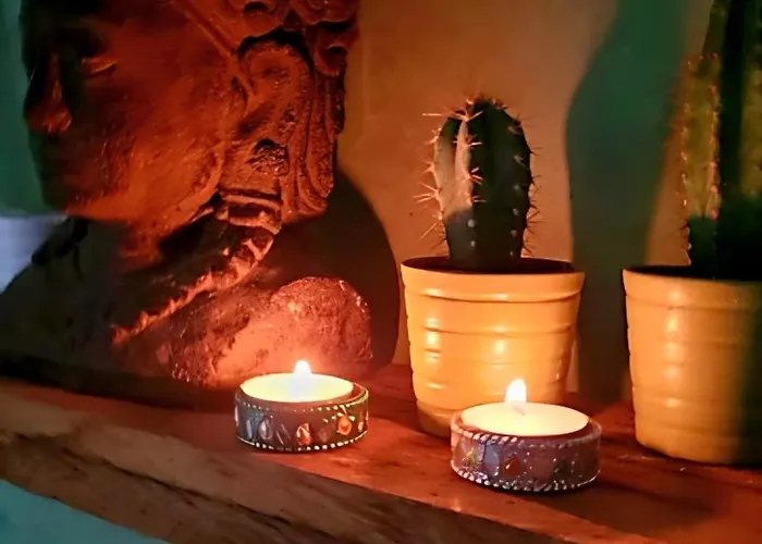 In The Forest Of Amsterdam With Pool Velsen-Zuid