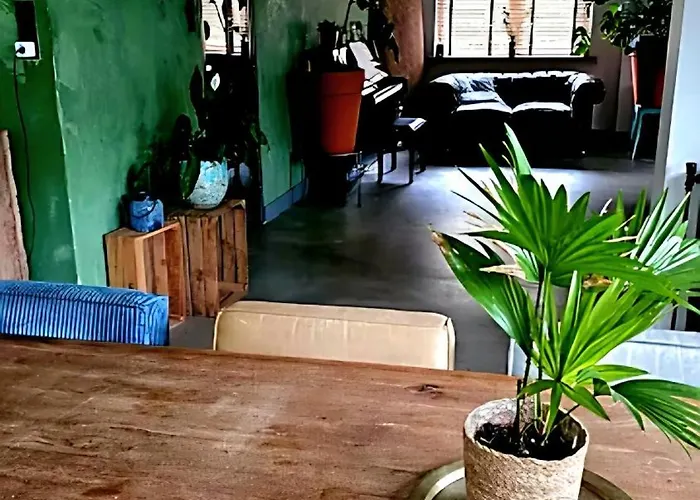 In The Forest Of Amsterdam With Pool