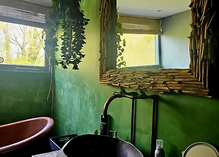 Villa In The Forest Of Amsterdam With Pool Velsen-Zuid