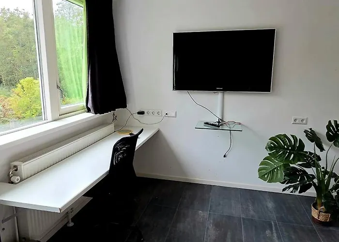 In The Forest Of Amsterdam With Pool