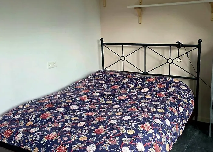 Villa In The Forest Of Amsterdam With Pool