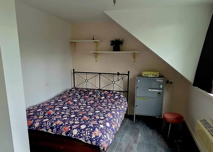 Villa In The Forest Of Amsterdam With Pool Velsen-Zuid